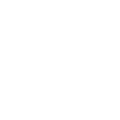 WhatsApp-Icon